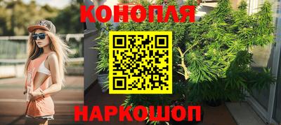 гидра Долгопрудный