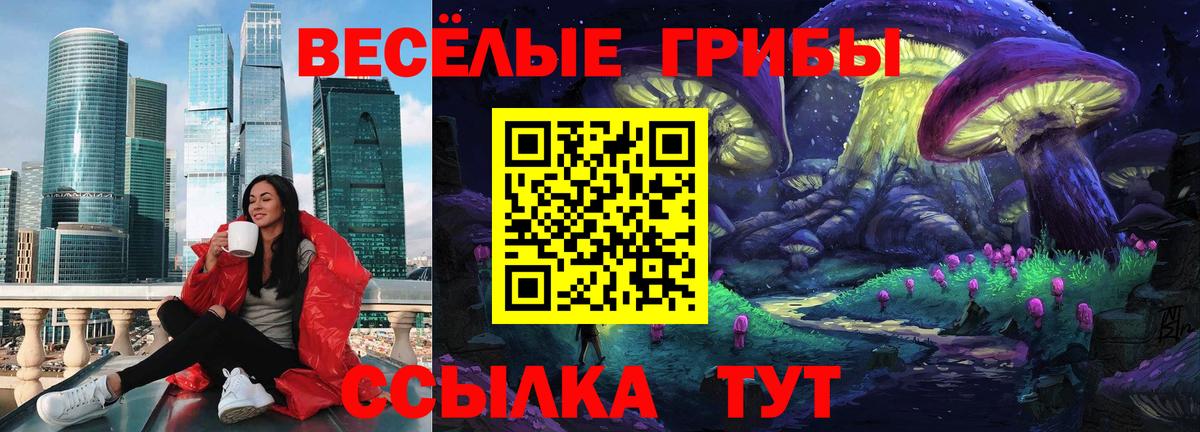 Кимры  Псилоцибиновые грибы прущие грибы  Вход с VPN 