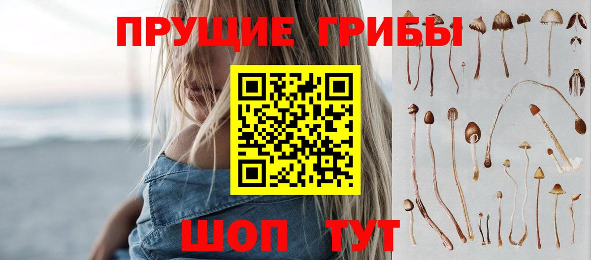 Псилоцибиновые грибы GOLDEN TEACHER Кимры